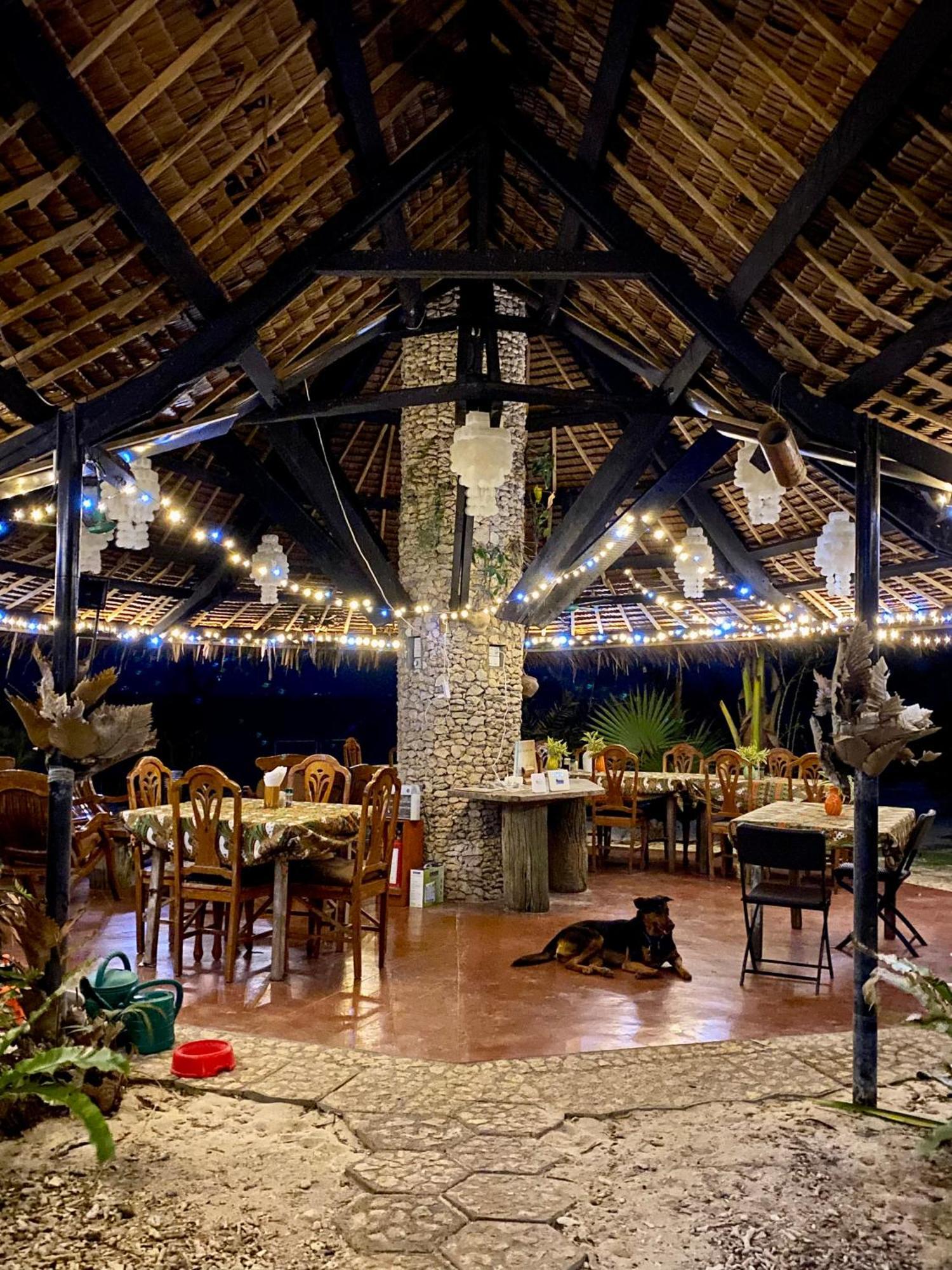 Ravenala Beach Bungalows Moalboal Ngoại thất bức ảnh