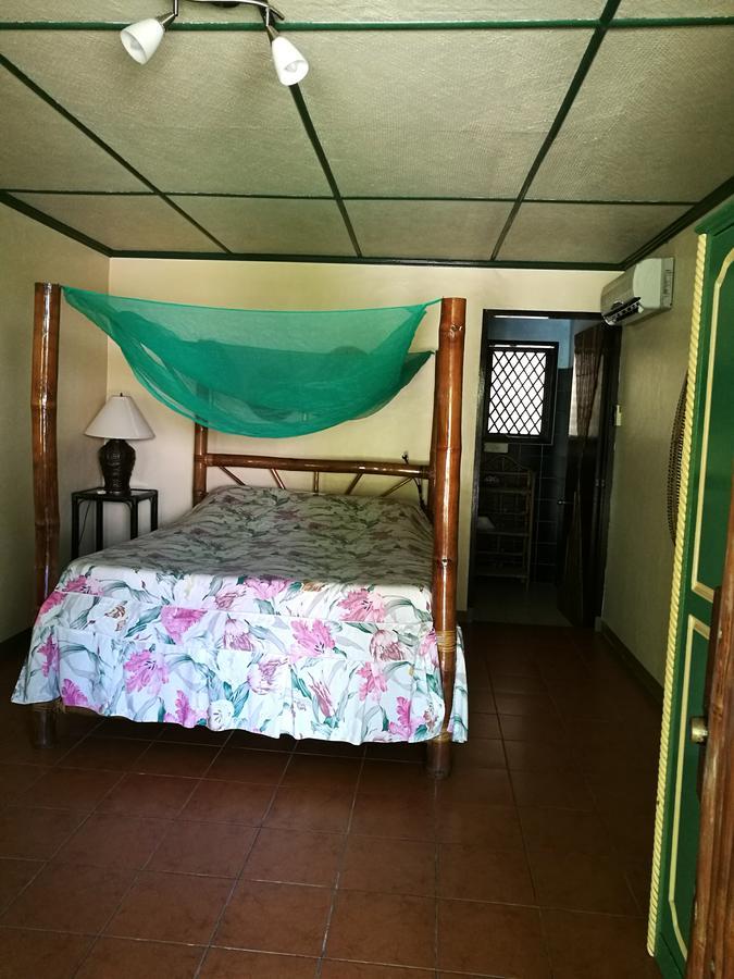 Ravenala Beach Bungalows Moalboal Ngoại thất bức ảnh